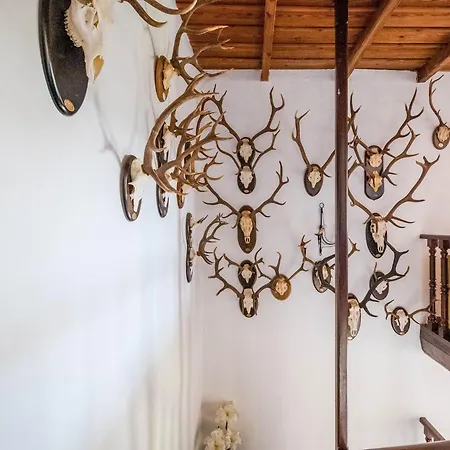 In With Private Pool Aracena